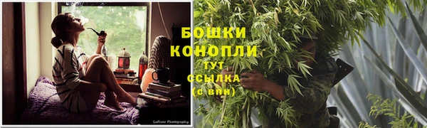 ALPHA PVP Новозыбков